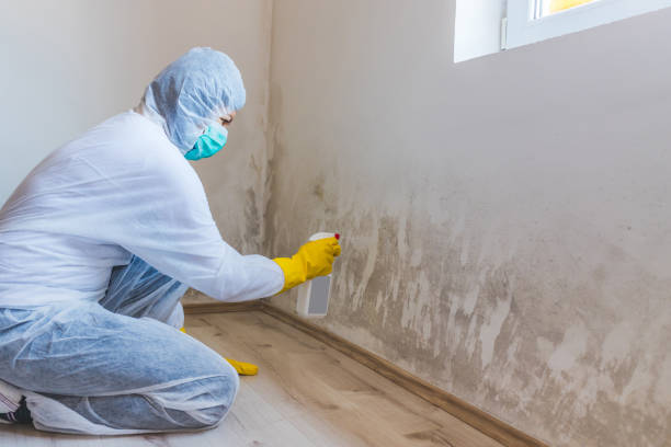 Hvac And Air Duct Mold Remediation inspection of HVAC system in Betterton